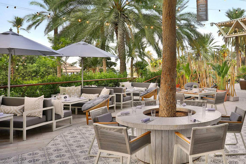 Pet Friendly Places In Dubai Things To Do Time Out Dubai