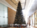 Best Christmas trees in Dubai | Festive | Time Out Dubai