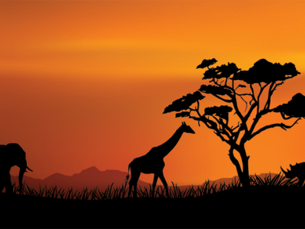 10 Best Animal Attractions In The Uae Zoo Wildlife Sanctuary Kids Activities Time Out Dubai