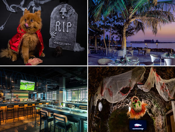 Dubai Halloween 2020 Dubai Restaurants Bars Dubai Halloween 2020 Brunches Hotels Cinema Art Offers Family Things To Do In Dubai
